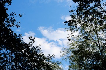 The white clouds in the blue sky.