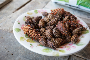 horizontal image with plate detail with tree pine cones used as decoration