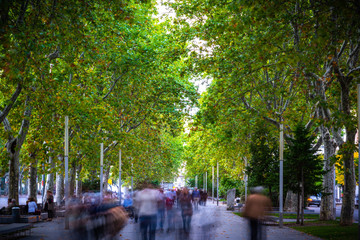 Valladolid ciudad histórica y cultural, España .
