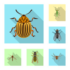 Isolated object of insect and fly symbol. Collection of insect and element stock vector illustration.