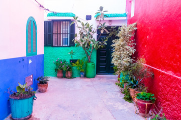 Romantic street, pots of plants and flowers in white medina of Asilah in Morocco