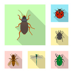 Vector design of insect and fly icon. Collection of insect and element stock symbol for web.