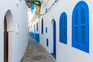 Beautiful street of white ancient medina of the Asilah village in Morocco
