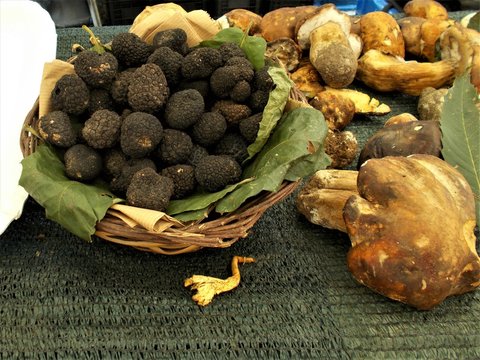 Jesienne zbiory. Trufle , podgrzybki,  prawdziwki . Italia
