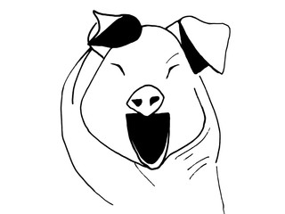 Muzzle pig close up on a white background. Sketch.