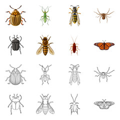 Vector design of insect and fly icon. Collection of insect and element stock symbol for web.