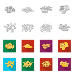 Vector design of pasta and carbohydrate icon. Collection of pasta and macaroni stock vector illustration.