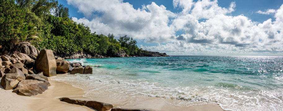 Tropical paradise