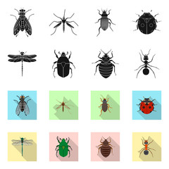 Vector design of insect and fly logo. Set of insect and element vector icon for stock.