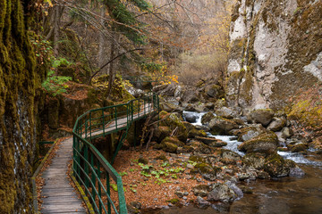 Bridge for hikers in the gorge of the Devinska River in Bulgaria.