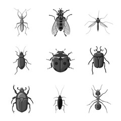 Vector illustration of insect and fly logo. Collection of insect and element vector icon for stock.