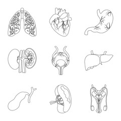 Isolated object of body and human icon. Set of body and medical vector icon for stock.