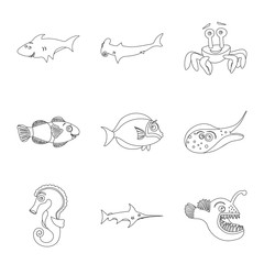 Isolated object of sea and animal symbol. Set of sea and marine stock vector illustration.