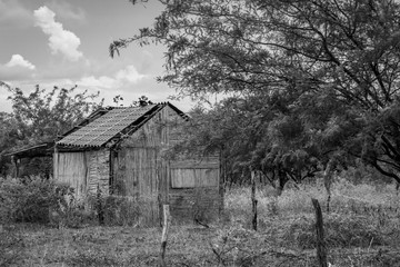 Casa abandonada en paisaje rural (blanco y negro)