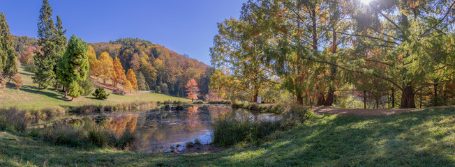 Autumn landscape at the arboretum of the Aubonne valley, Switzerland