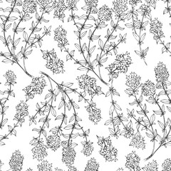 Seamless pattern with medical plants. Hand drawn. Vector illustration