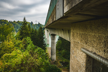 Fototapeta na wymiar traffic bridge with forest