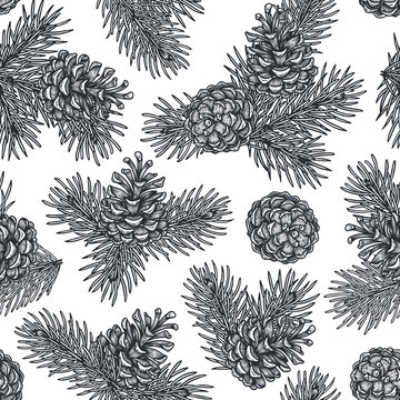 Hand draw engraving of a pine cone with cedar branches in a seamless pattern.