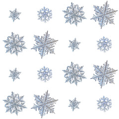 Set with snowflakes isolated on white background. Macro photo of real snow crystals: elegant...