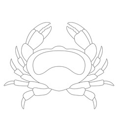 crab vector illustration   lining draw   profile