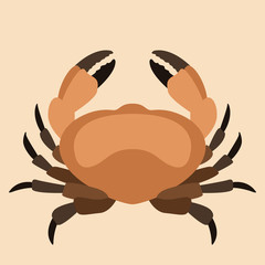 crab vector illustration flat style  profile 