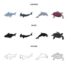 Vector design of sea and animal symbol. Collection of sea and marine stock vector illustration.