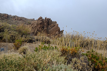 Tenerife El Teide National Parc