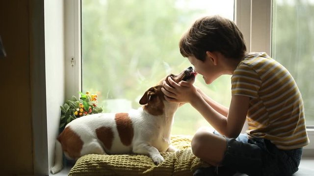 Cute child kisses his dog friend in nos.