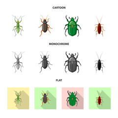 Vector illustration of insect and fly sign. Collection of insect and element vector icon for stock.