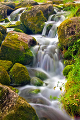 A small waterfall among the large hemmed wet stones covered with moss and green grass. The rapid flow of river blured with long exposure time. English Pond, Peterhof, Saint Petersburg, Russia.