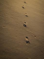 Fototapeta na wymiar Fusspuren im Sand
