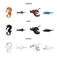 Vector illustration of sea and animal sign. Collection of sea and marine stock symbol for web.