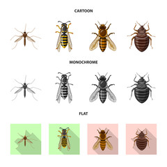 Vector illustration of insect and fly sign. Collection of insect and element vector icon for stock.
