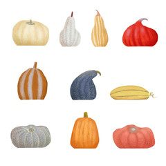 Autumn pumpkins collection. Set on isolated background concept for farmers market organic food in flat style. Raster illustration