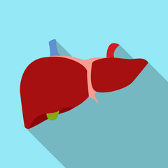 Vector illustration of body and human sign. Set of body and medical vector icon for stock.