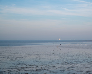 Blick &uuml;ber das Wattenmeer 