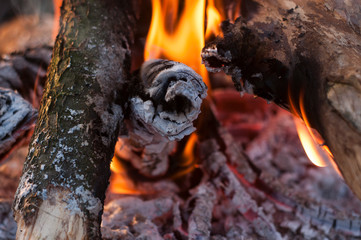 A captivating close-up shot showcases the intense flames consuming charred logs within a rustic campfire setting, highlighting the contrasting textures of burnt wood and glowing embers