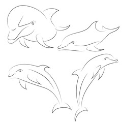 Black line dolphin on white background. Hand drawn vector dolphins set.