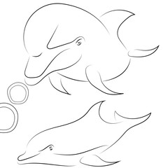 Black line dolphin on white background. Hand drawn vector dolphins.