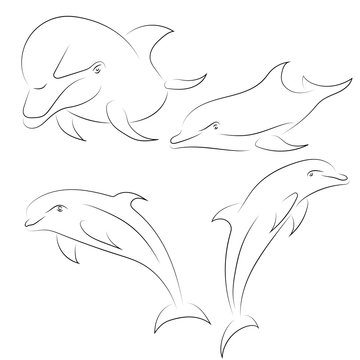 Black line dolphin on white background. Hand drawn vector dolphins set.