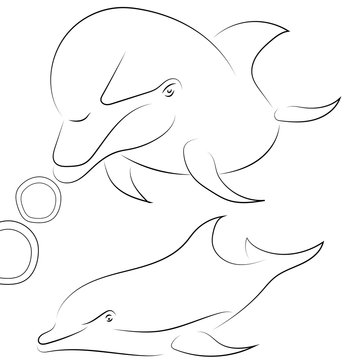 Black line dolphin on white background. Hand drawn vector dolphins.