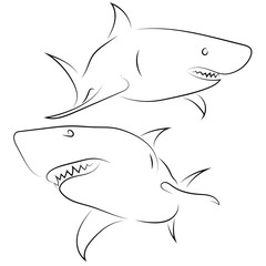 Naklejka premium Black line sharks on white background. Hand drawn linear sketch. Vector graphic fishes. Animal illustration.