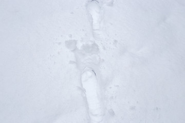footprints on the first snow of boots