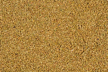 Fenugreek Seeds (Methi Dana)