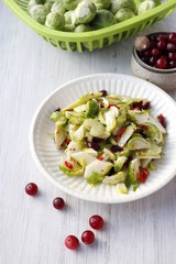 Salad of raw Brussels sprouts, celery, apples and cranberries.