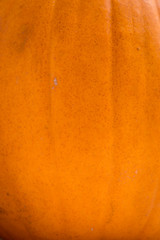 Texture of a pumpkin's outer skin.