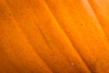 Horizontal full-frame view of an orange pumpkin's outer skin texture.
