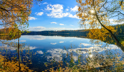 The lake Glublia in Belarus in the sunlight. The tree over water