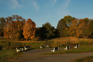 Polska, Gdańsk - jesienny park z ławkami oświetlony wieczornym słońcem (Olszynka)