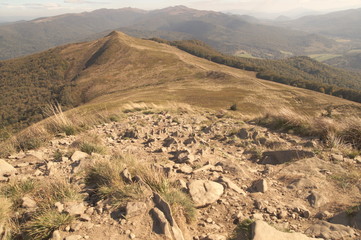 Fototapeta premium Połonina Caryńska